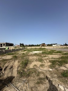 image 375565