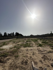 image 375565