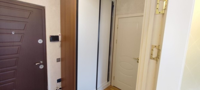 image 375570