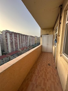 image 375571