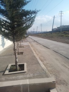 image 375575