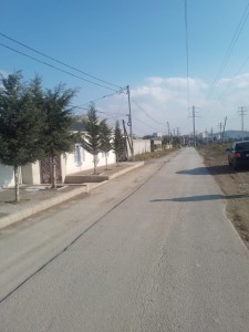 image 375575