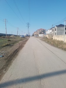 image 375575