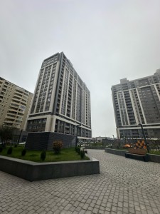 image 375590