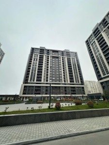 image 375593