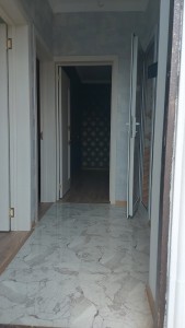 image 375594