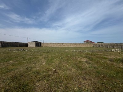 image 375609