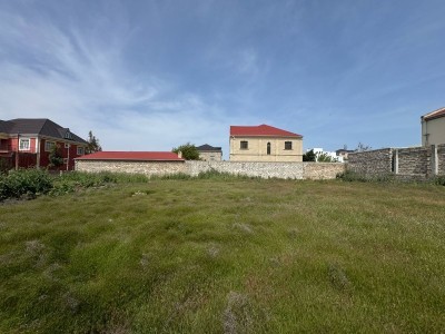 image 375618