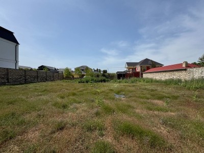 image 375618