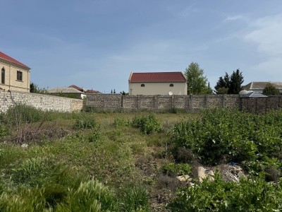image 375618