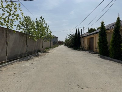 image 375618