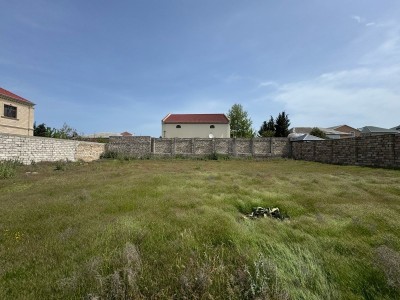 image 375618