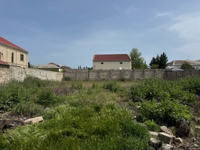 image 375618