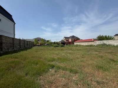 image 375618