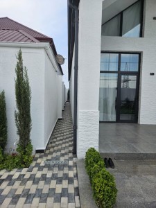 image 375621