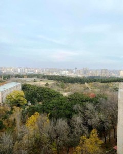 image 375622