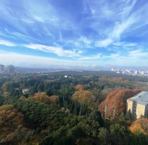 image 375622