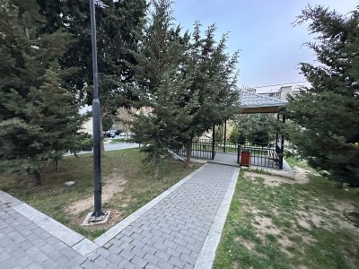 image 375628