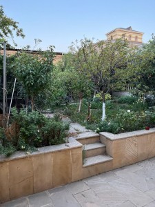 image 375630