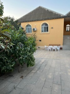 image 375630