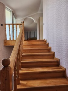 image 375631