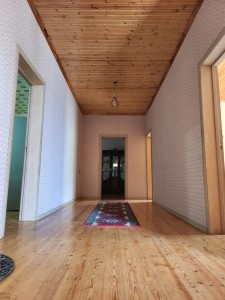 image 375631