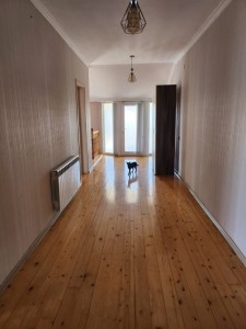 image 375631