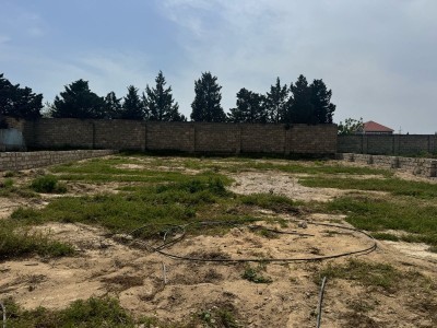 image 375632