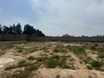 image 375632