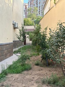 image 375633