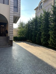 image 375633