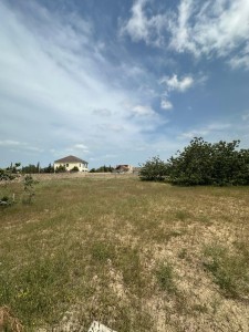 image 375634