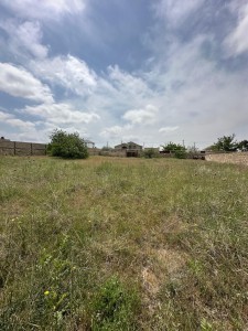 image 375634