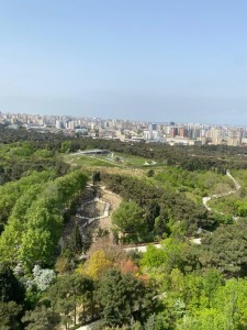 image 375636