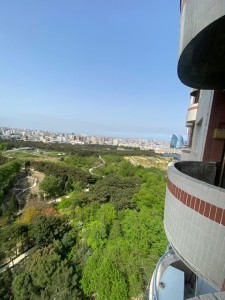 image 375636