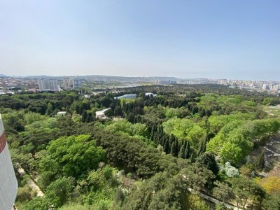 image 375636