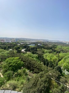 image 375636