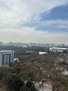 image 375645