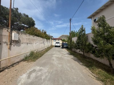 image 375646