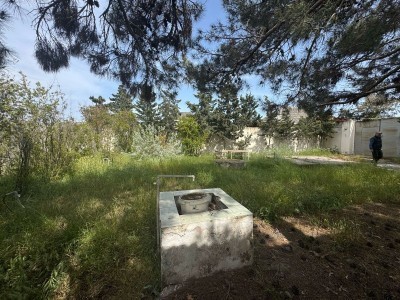 image 375646
