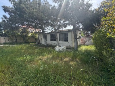 image 375646