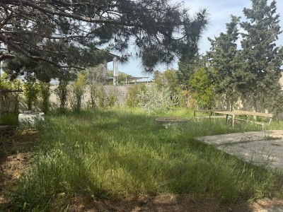 image 375646