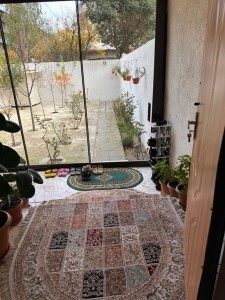 image 375651