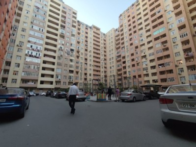 image 375655