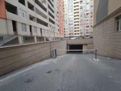 image 375655