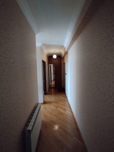 image 375660