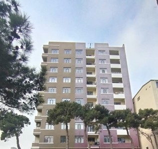 image 375663