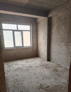 image 375663