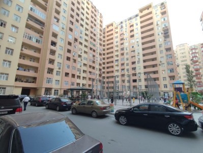 image 375667