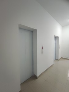 image 375667